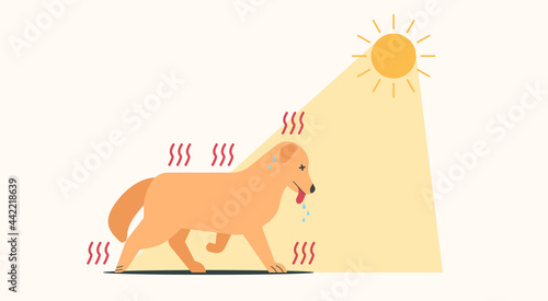 dog walking in the sun and have heat stroke symptoms, vector flat illustration