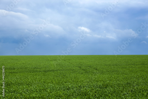 Beautiful view of green field and sky with clouds
