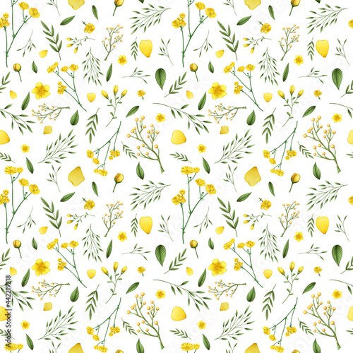 Botanical yellow flowers seamless pattern. Flowers on a white background. Fresh tender design for invitation, wedding or greeting cards, textiles, wrapping paper