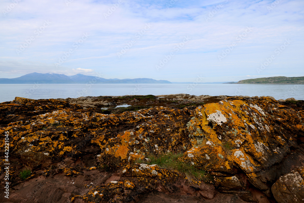 Algae Covered Rock Outcrop at a Coastal Location