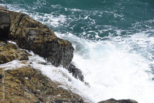 looking at the sea from the cliffs © alexisftv