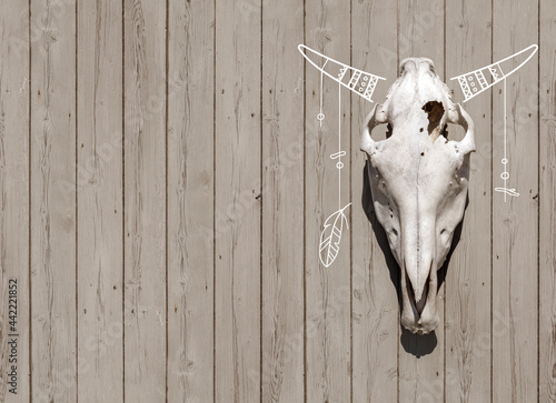 Bull skull with decorative horns hanging on the wooden wall. Halloween background.