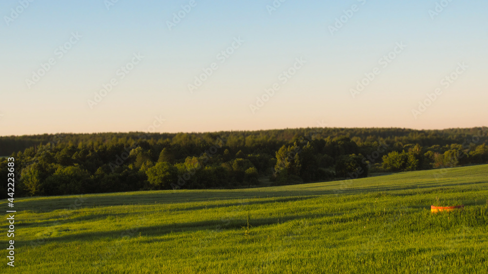Landscape of a green field with a blue sky