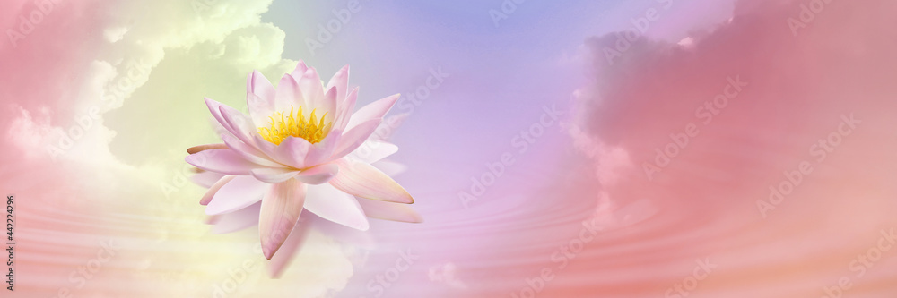 Floating beautiful lotus and reflection of sky with fluffy clouds on water, toned in pastel rainbow colors. Symbolic flower in Buddhism