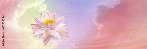 Floating beautiful lotus and reflection of sky with fluffy clouds on water, toned in pastel rainbow colors. Symbolic flower in Buddhism
