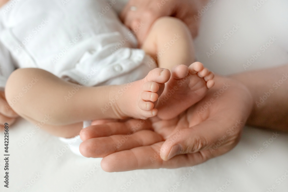 hands of parents. the legs of the newborn in the hands of mom and dad. baby's legs in his hands. hands of parents. the legs of the newborn in the hands of mom and dad. baby's legs in his hands.
