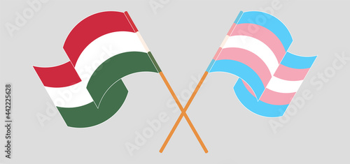 Crossed and waving flags of Hungary and transgender pride