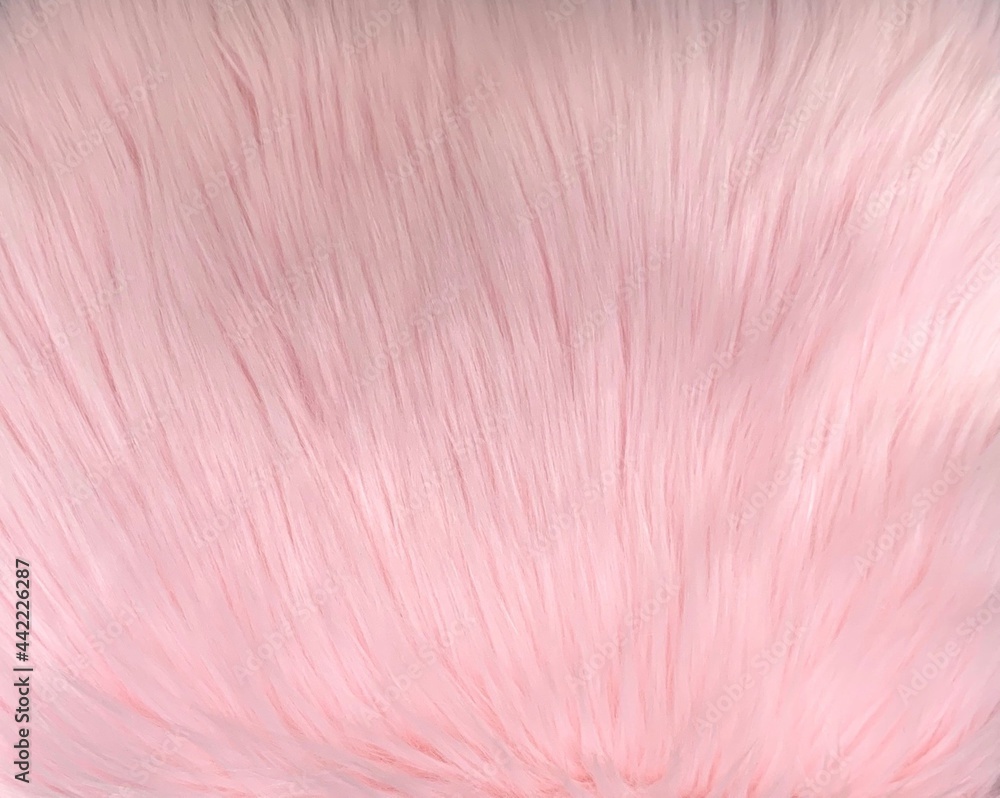 Obraz premium Baby pink long pile artificial fur texture