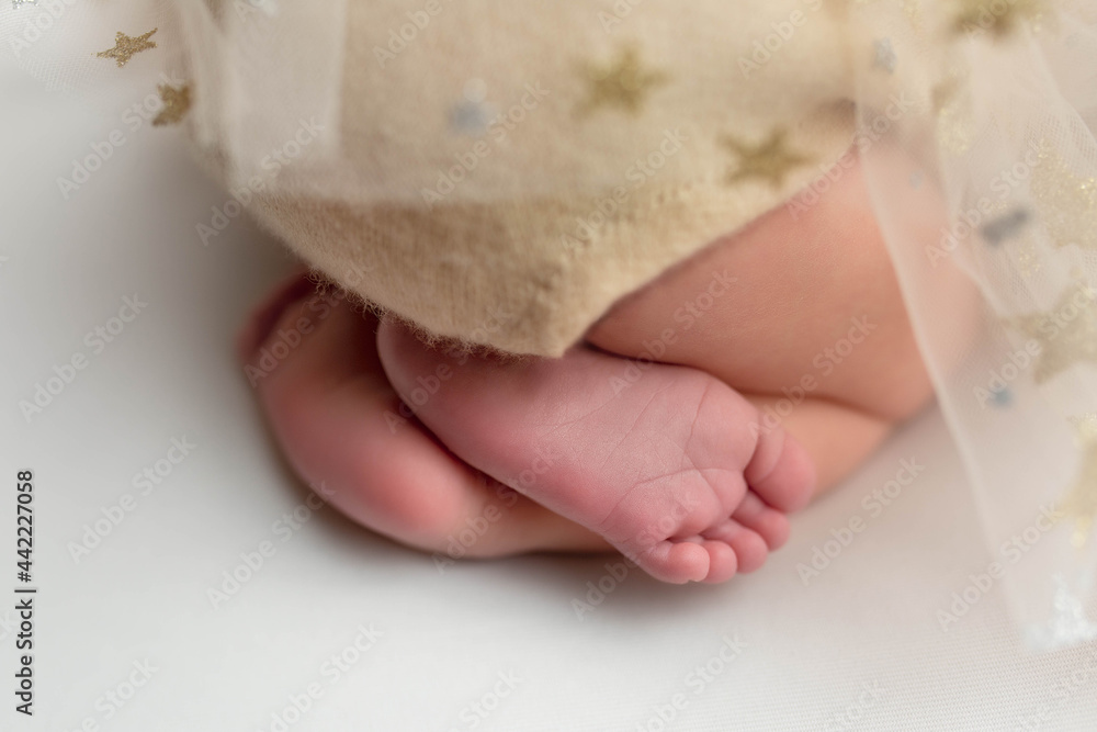 legs of a newborn girl. small baby feet legs of a newborn girl. small baby feet