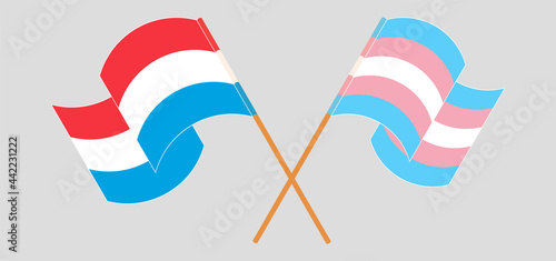 Crossed and waving flags of Luxembourg and transgender pride