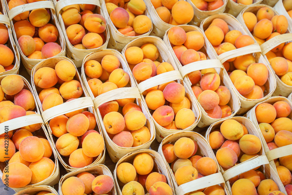 market, fresh fruit tray, apricots market, fresh fruit tray, apricots