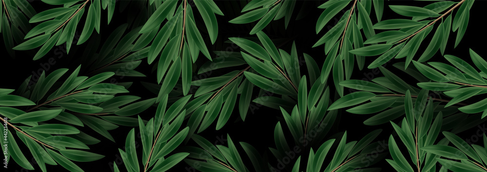 Luxury nature green. Floral pattern leaf plant. Vector illustration background for banner.