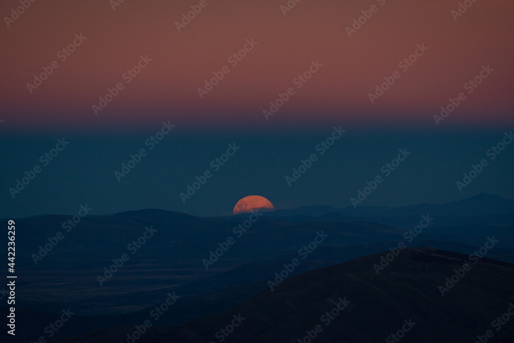 Pink Moon Pink Moon