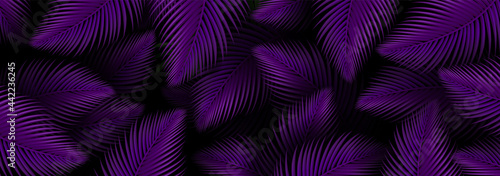 Summer tropical neon violet design background, Tropic palm leaves. illustration Wallpaper Vector.