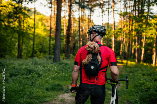 Man and dog in backpack on bike tour in forest © bernardbodo