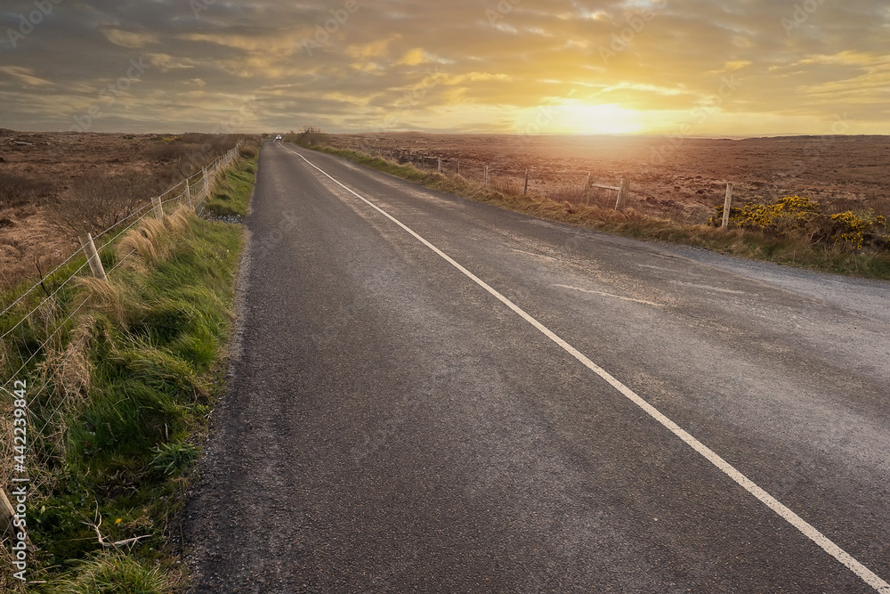 Narrow straight asphalt road with white road markings at sunset. Dramatic sky. Nobody. Low angle of view. Travel concept. Narrow straight asphalt road with white road markings at sunset. Dramatic sky. Nobody. Low angle of view. Travel concept.
