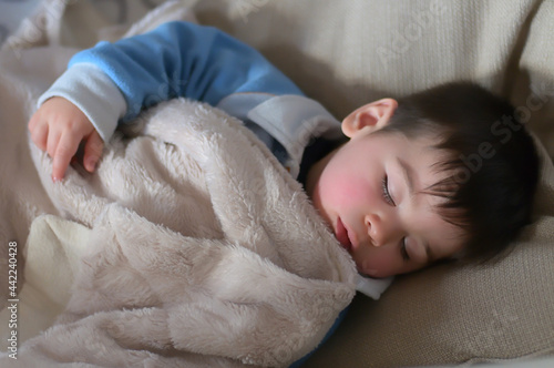 bambino che dorme beato tra le coperte photo