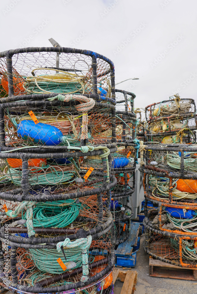 crab and lobster Live traps