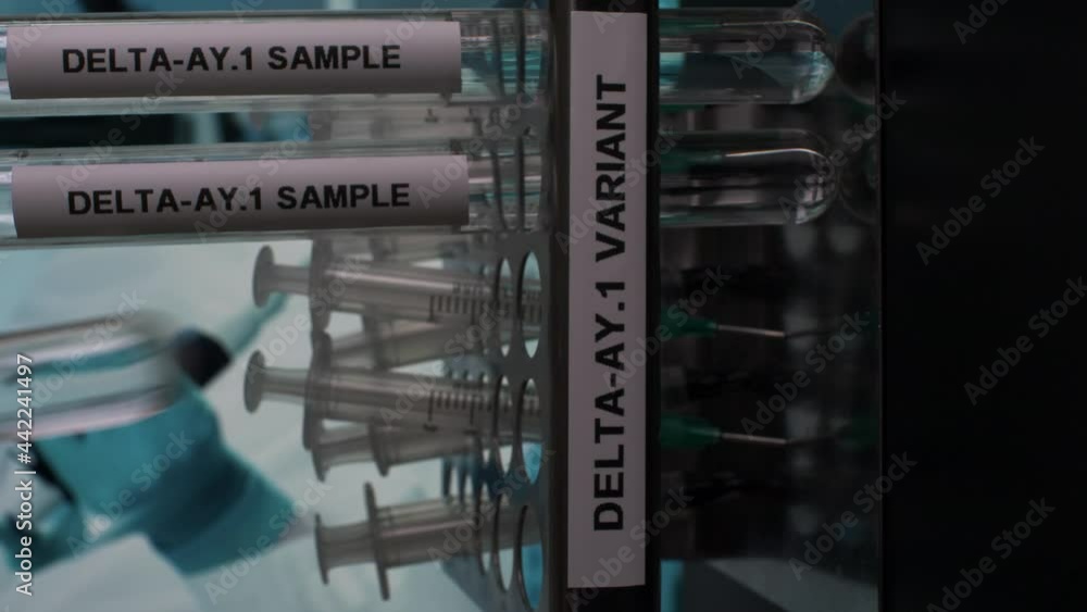 Delta AY.1 Variant Test Tube Samples Being Placed In Rack. Vertical Video, Locked Off, Close Up Delta AY.1 Variant Test Tube Samples Being Placed In Rack. Vertical Video, Locked Off, Close Up