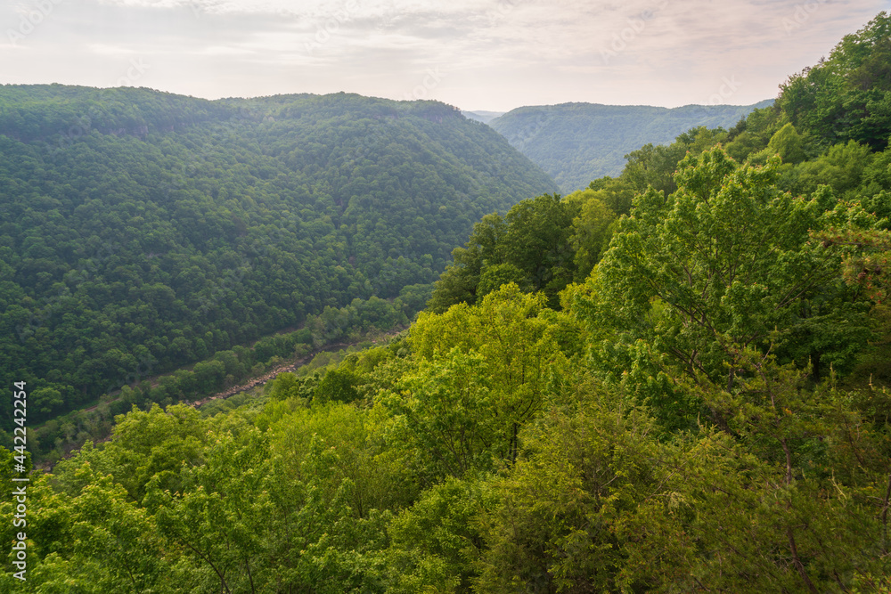 Obraz premium Overlook at New River Gorge National Park and Preserve