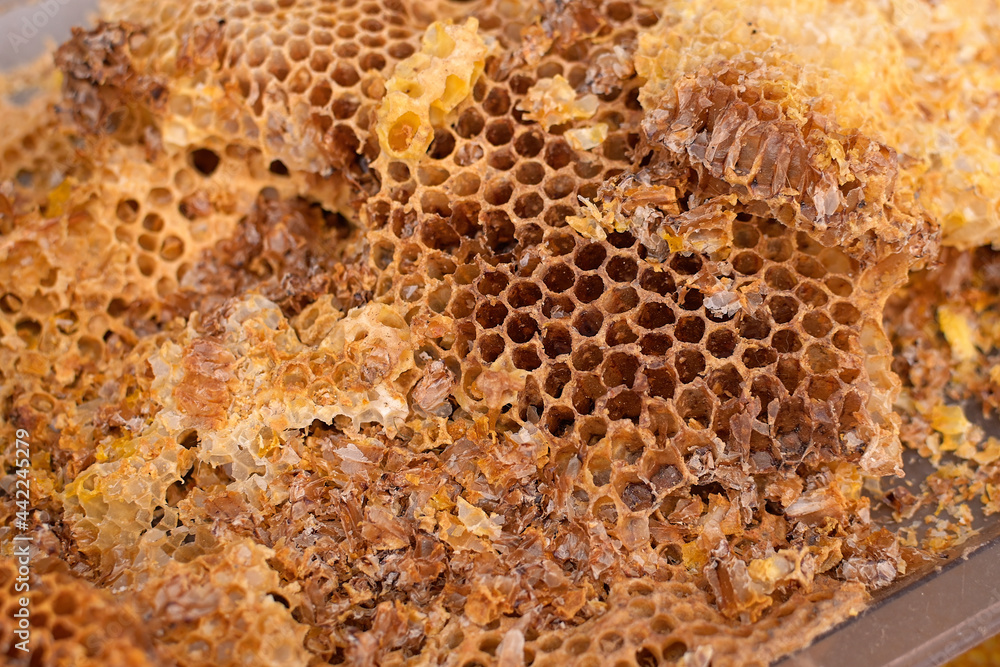 Old honeycomb close-up with the remains of honey. Beekeeping on the farm. Breeding of bees and extraction of honey. Selective focus. Old honeycomb close-up with the remains of honey. Beekeeping on the farm. Breeding of bees and extraction of honey. Selective focus.