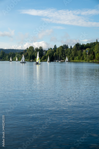 Sailboats on Lake Washington in Renton, Washington.