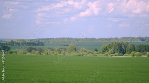 Rain clouds on sky above green grass field and trees. photo