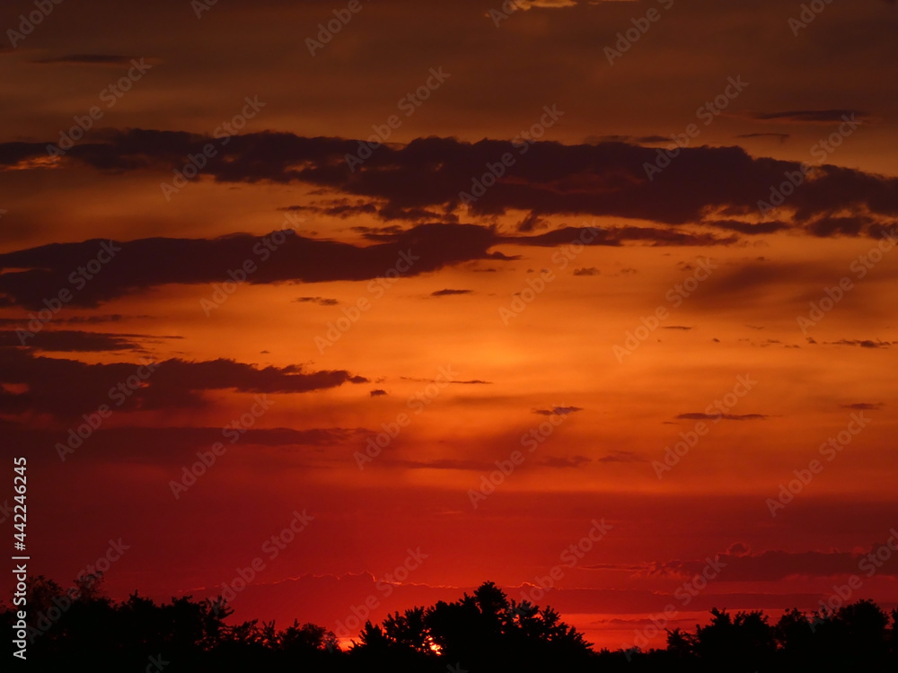 Sky with colorful clouds at sunrise as a background
