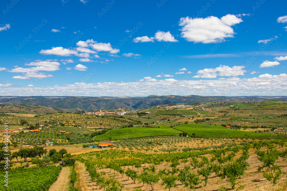 Landscape view of Freixo de Espada a Cinta - Portugal. Landscape view of Douro Natural Park - Portugal