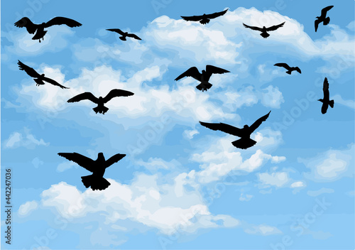 Flying birds silhouettes, concept illustration