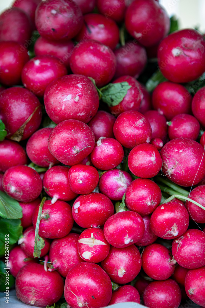 Stack of radish at the brazilian market stall Stack of radish at the brazilian market stall