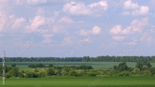 Rain clouds on sky above green grass field and trees. photo