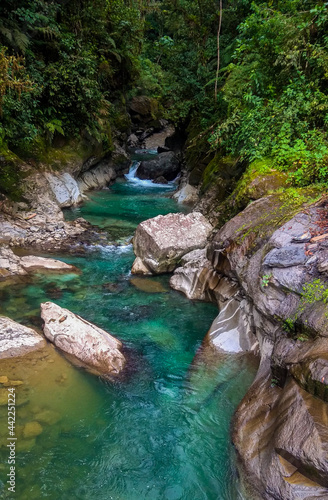 waterfall in the forest © david