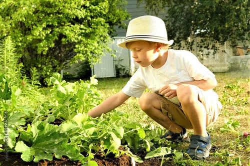 Garçon dans le jardin