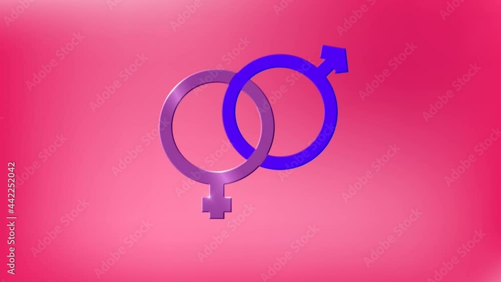 Animation of interlinked pink and purple male and female gender symbols, on pink background Animation of interlinked pink and purple male and female gender symbols, on pink background