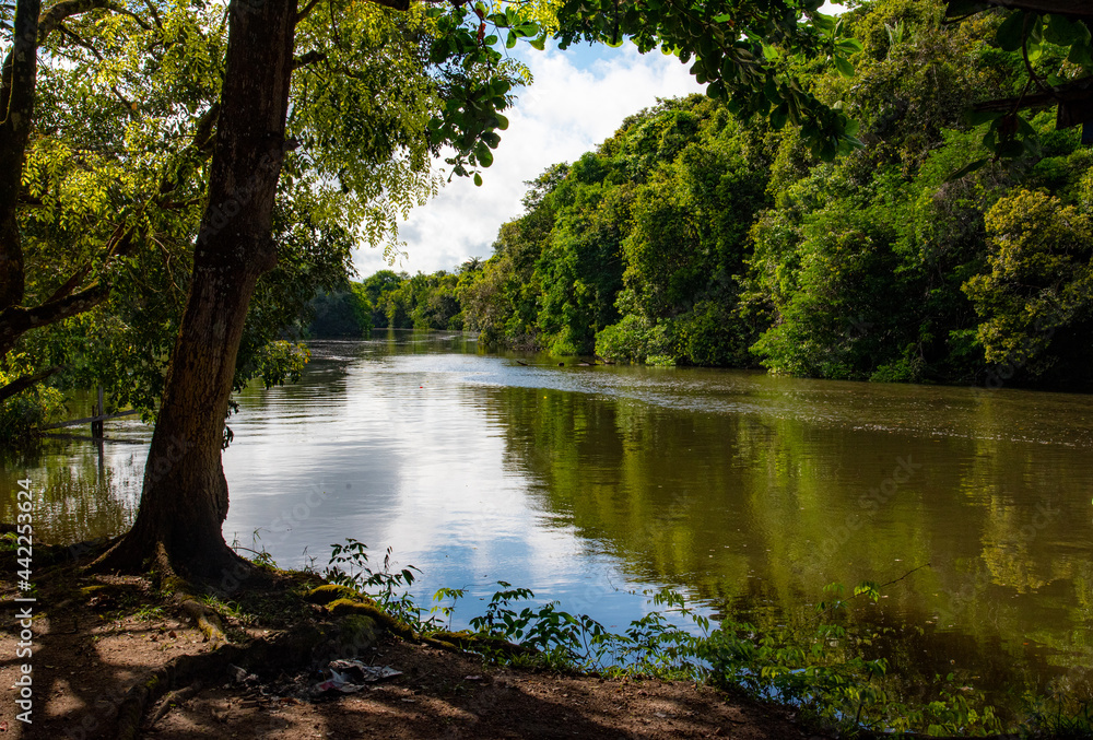 Reflexo da Floresta com o rio na Amazônia. Reflexo da Floresta com o rio na Amazônia.