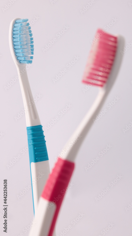 toothbrush in white background toothbrush in white background