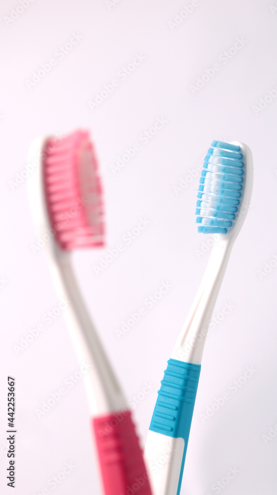 toothbrush in white background toothbrush in white background