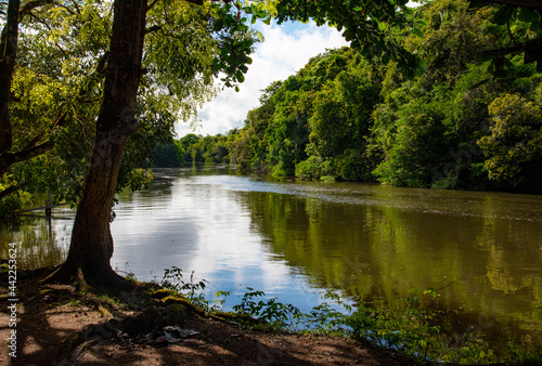 Reflexo da Floresta com o rio na Amazônia. © Aluizio Cardoso