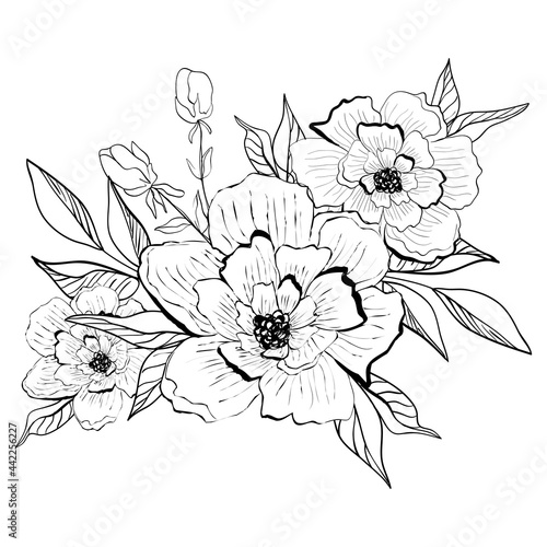 Bouquet of flowers. Collection of vector sketches and line art illustrations. Isolated botanical elements.