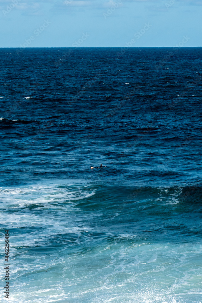 Fototapeta premium lone surfer in the ocean catching waves