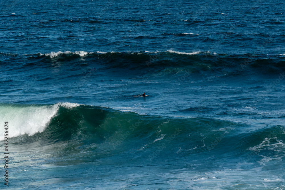 lone surfer in the ocean catching waves