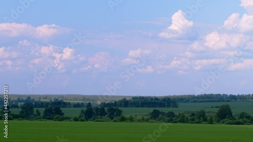 Summer landscape with field of grass, blue sky and clouds. photo