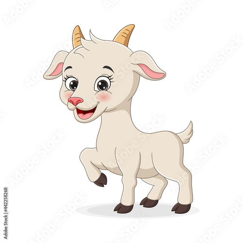 Cute baby goat cartoon on white background