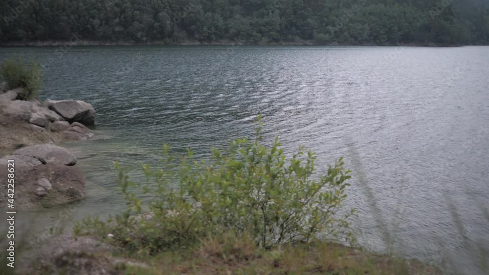 water waves hitting shore with a tree on the foreground , with sound water waves hitting shore with a tree on the foreground , with sound