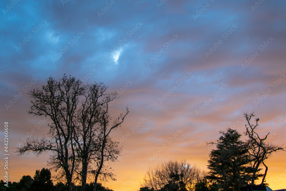 Fototapeta premium Early winter sunrise setting over the skyline of the forests on the Garden Route in South Africa