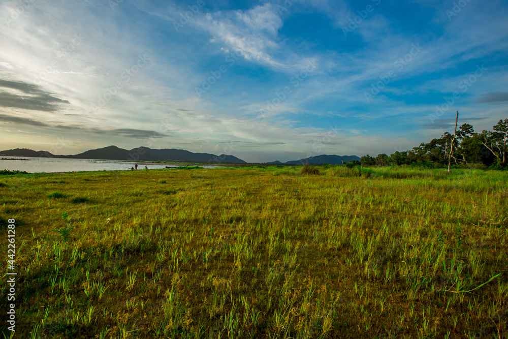 Panoramic natural background of green meadows along the reservoir, surrounding roads and winds and beautiful morning sunlight. Panoramic natural background of green meadows along the reservoir, surrounding roads and winds and beautiful morning sunlight.