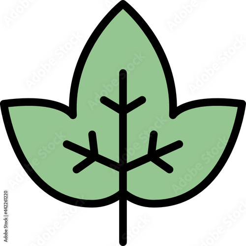 ivy leaf color outline icon © tulpahn