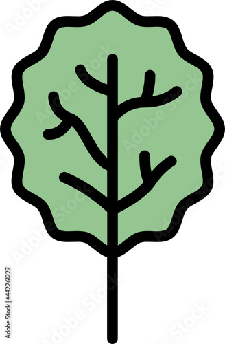 aspen leaf color outline icon