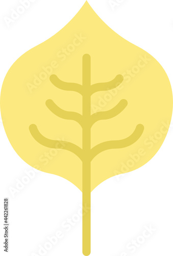 poplar leaf flat icon